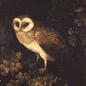 Meet your Posher, Olive